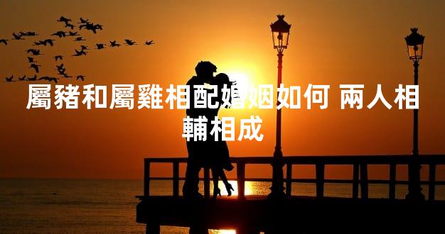 屬豬和屬雞相配婚姻如何 兩人相輔相成